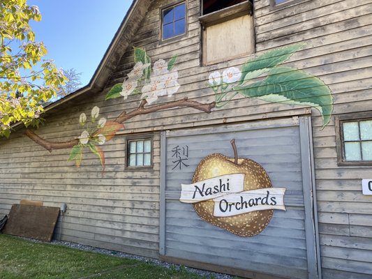 Nashi Orchards Tasting Room by null