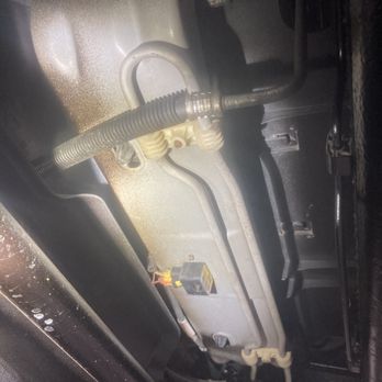 Ziebart - Auto Detailing Near Me - Albany, New York