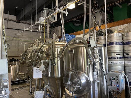 Sheepdog Brewing by null