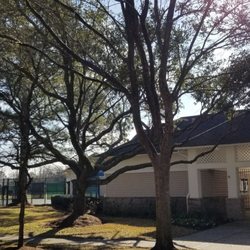 Pine Brook - Tennis and pool