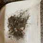 Photo of Pixi & Dixi Cleaning Services