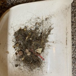 Pixi & Dixi Cleaning Services