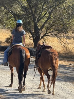 4 Horse Ranch by null