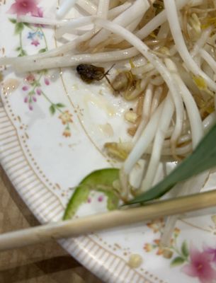 Phở Băng Restaurant by null