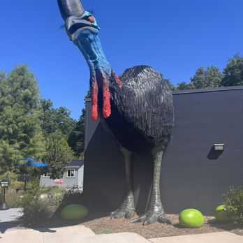 Greensboro Science Center - Zoos Near Me - Greensboro, North Carolina Greensboro Science Center - Zoos Near Me - Greensboro, North Carolina