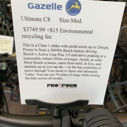 Pro-Form Bike Shop - The cost of the electric bike