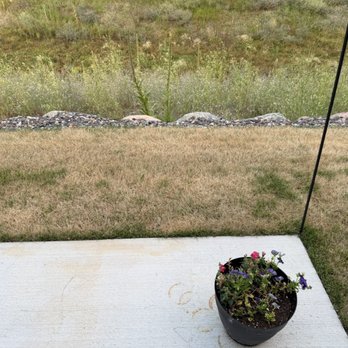 Advanced Irrigation - Back yard - Landscape Architects or Designers Near Me - Buffalo, Minnesota