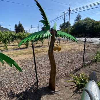 Pricketts Nursery - Aloha from Cali! - Nurseries & Gardening Near Me - Healdsburg, California