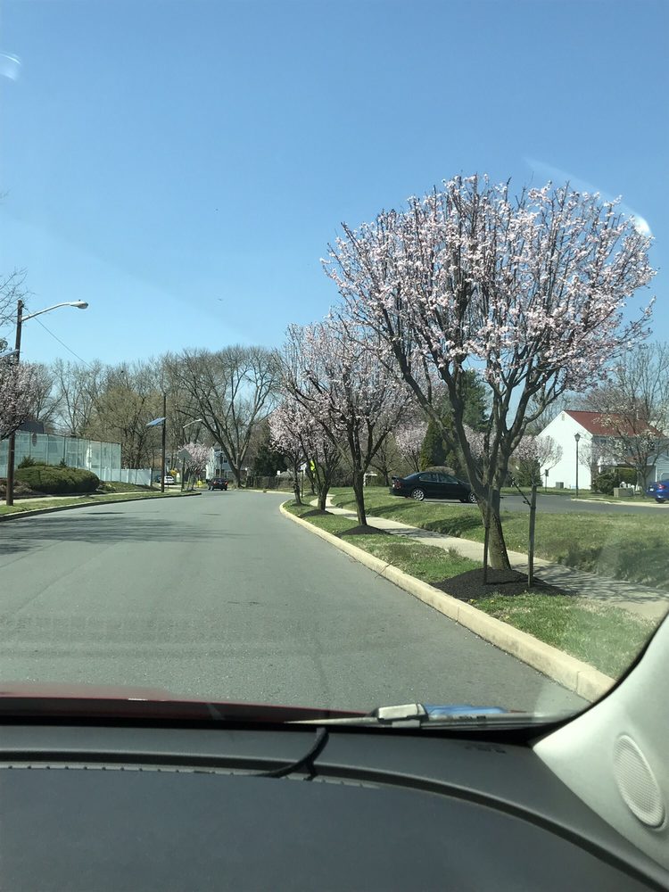 CHERRY HILL TOWNSHIP Updated April 2024 820 Mercer St, Cherry Hill