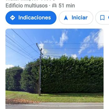Rubio Landscaping - the location of a hedge hedge - Landscaping Near Me