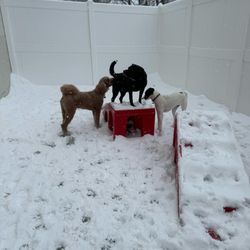 Camp Bow Wow - Let it Snow!