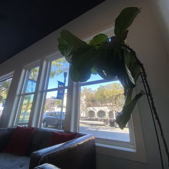 Coffee & More - Coffee & Tea Near Me - Sunnyvale, California Coffee & More - Coffee & Tea Near Me - Sunnyvale, California
