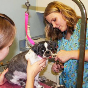 TLC For Pets - Veterinarians Near Me - Reisterstown, Maryland TLC For Pets - Veterinarians Near Me - Reisterstown, Maryland