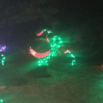 Pumpkin Nights - Venus flytraps - Festivals Near Me - Arlington, Texas Pumpkin Nights - Venus flytraps - Festivals Near Me - Arlington, Texas