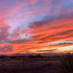 The Kountry Kafe - Sunset over Elfrida