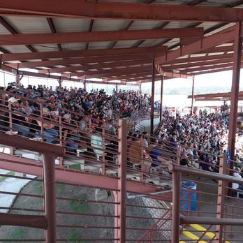 Angola Prison Rodeo - Rodeo Near Me - Angola, Louisiana