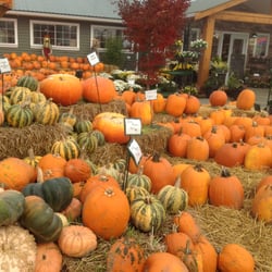 Sunnyside Nurseries - Lots of different kinds of pumpkins available here.