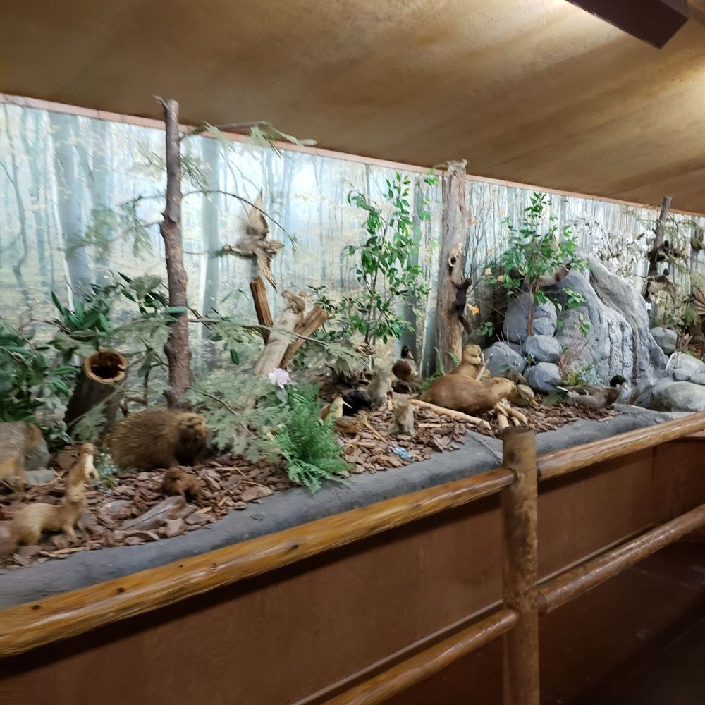 Bushkill Falls - Display - Tours Near Me - Bushkill, Pennsylvania Bushkill Falls - Display - Tours Near Me - Bushkill, Pennsylvania