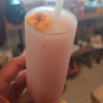 Fern’s General Store - Frose! - Gift Shops Near Me - Ojai, California Fern’s General Store - Frose! - Gift Shops Near Me - Ojai, California
