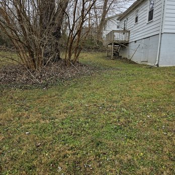 Silverback lawn and handyman service - Grass work - Lawn Services Near Me Silverback lawn and handyman service - Grass work - Lawn Services Near Me