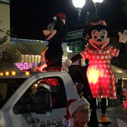 Festival of Lights - Mickey and Mini