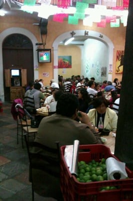 El Patio y las Ranas by null