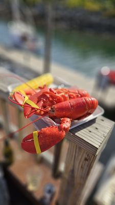 Footbridge Lobster by null