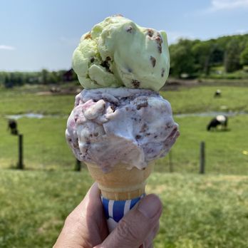 Rota Spring Farm - First ice cream cone of the season! - Ice Cream & Frozen Yogurt Near Me - Sterling, Massachusetts