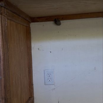 Hatteras Realty - Hornets nest and spiderwebs full of spiders filled the inside of the cabana - Property Management Near Me - Avon, North Carolina Hatteras Realty - Hornets nest and spiderwebs full of spiders filled the inside of the cabana - Property Management Near Me - Avon, North Carolina