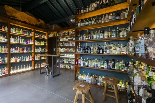 The Gin Library - The Worlds Largest Gin Collection by null