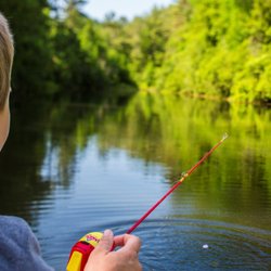 Lumberton / I-95 KOA Journey
