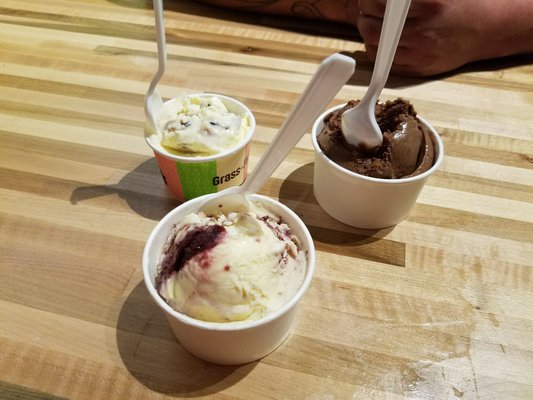 The Screamery by null