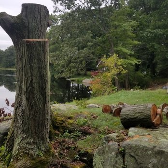 Jess's Tree Service - Tree Services Near Me - Mc Afee, New Jersey Jess's Tree Service - Tree Services Near Me - Mc Afee, New Jersey