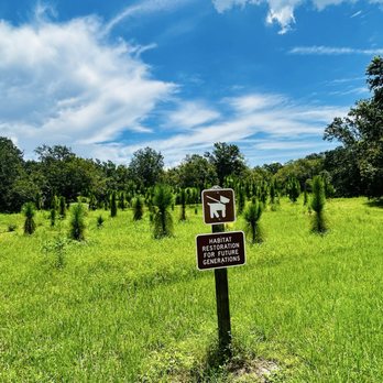 Eagle Lake Park - Parks Near Me - Largo, Florida Eagle Lake Park - Parks Near Me - Largo, Florida