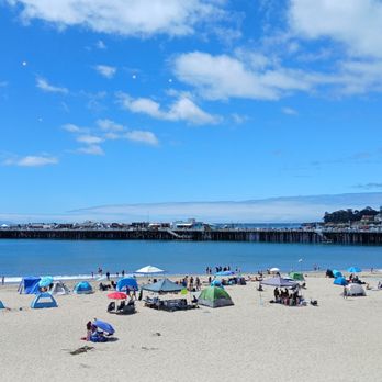 The Grove - View from Sun Room - Venues & Event Spaces Near Me - Santa Cruz, California