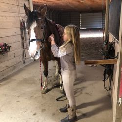 Sheridan Stables and Riding School
