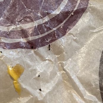 McDonald's - Double cheese burger with a LIVE ANT?! - Fast Food Near Me - Wisconsin Dells, Wisconsin