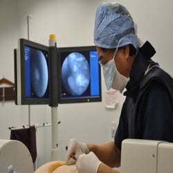 Chee G Kim, MD