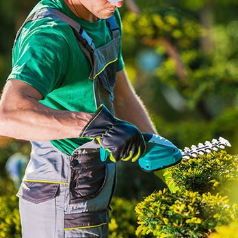 CAM Property Services - a man trimming bushes - Office Cleaning Near Me - Torrance, California CAM Property Services - a man trimming bushes - Office Cleaning Near Me - Torrance, California