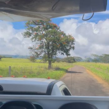 Kaua'i Backcountry Adventures - Tubing Near Me - Lihue, Hawaii Kaua'i Backcountry Adventures - Tubing Near Me - Lihue, Hawaii