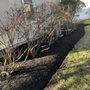 Photo of HP Landscaping