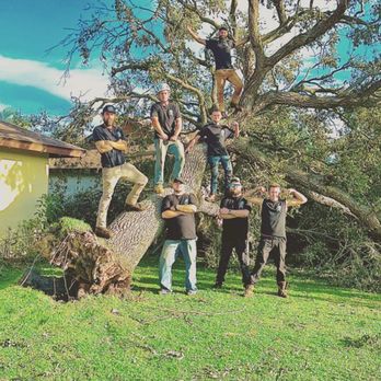 Against The Grain Tree Care - Tree Services Near Me - Palm Coast, Florida Against The Grain Tree Care - Tree Services Near Me - Palm Coast, Florida