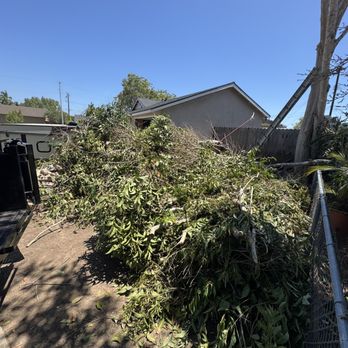 Wiggins Junk Removal - Junk Removal & Hauling Near Me - Oxnard, California Wiggins Junk Removal - Junk Removal & Hauling Near Me - Oxnard, California