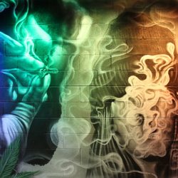 Core Social Justice Cannabis Museum