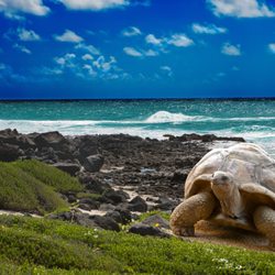 Martour Travel - get up close to nature on your next trip, with martour