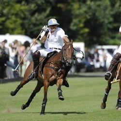 Ham Polo Club