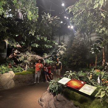 Creation Museum - Museums Near Me - Petersburg, Kentucky