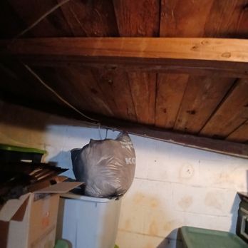 Sunshine Handyman - Falling ceiling in basement - Handyman Near Me - Somerset, Virginia Sunshine Handyman - Falling ceiling in basement - Handyman Near Me - Somerset, Virginia