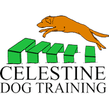 Celestine Dog Training - Pet Training Near Me - Bristol, SGC