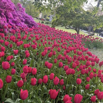 Sherwood Gardens - Parks Near Me - Baltimore, Maryland